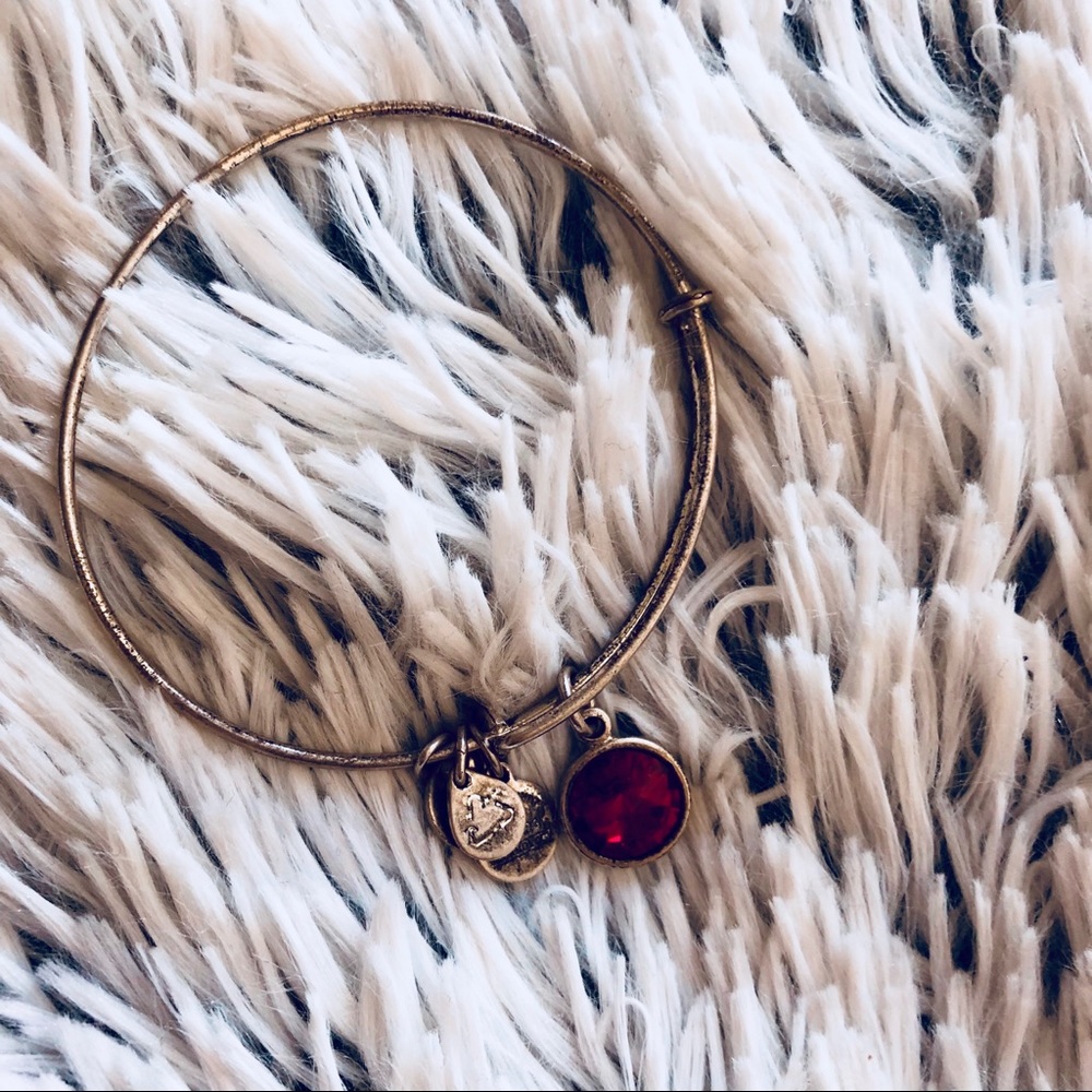⭐️Alex and Ani January Birthstone Bracelet⭐️